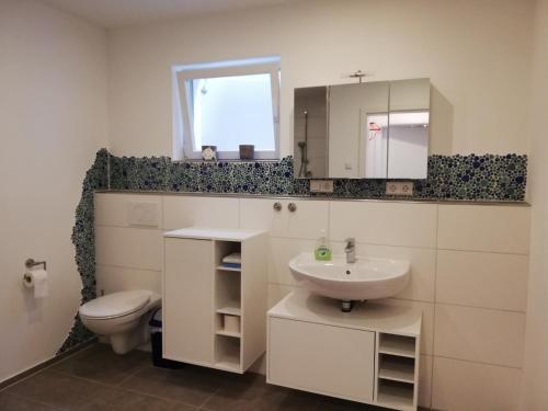 a bathroom with a sink and a toilet and a mirror at Barrierefreies Appartement auf der Alb in Trochtelfingen