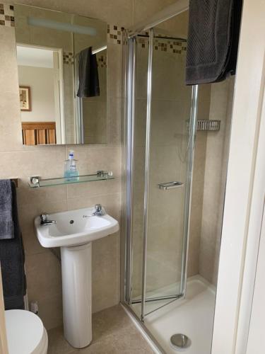 a bathroom with a shower and a sink at The White House B & B in Kenmare