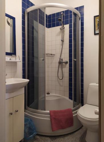 a bathroom with a shower with a tub and a toilet at Dwór w Odonowie in Odonów