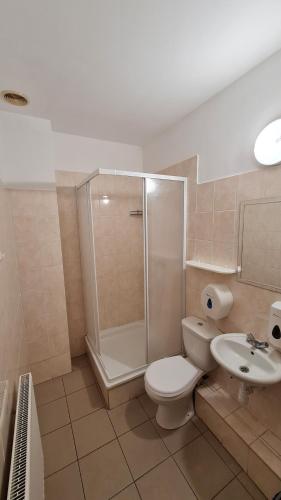 a bathroom with a shower and a toilet and a sink at Hotelik Orlik in Legnickie Pole