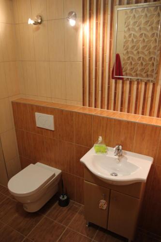 a bathroom with a toilet and a sink at Apartments Klinovec in Loučná pod Klínovcem