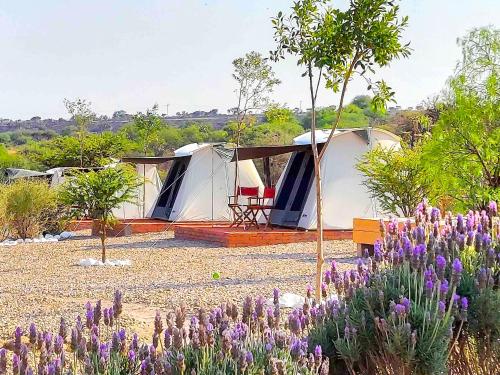 Zenzontle Glampingsma by Rotamundos en San Miguel de Allende