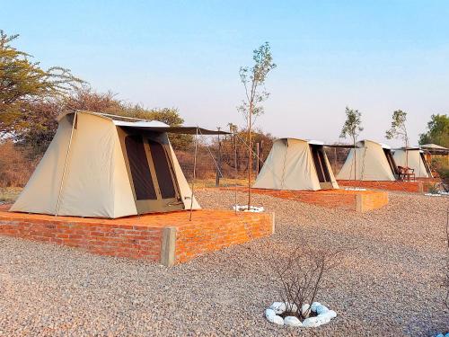 Zenzontle Glampingsma by Rotamundos en San Miguel de Allende