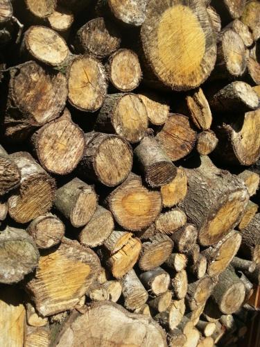 a pile of chopped wood stacked on top of each other at Hotel Boerderij Restaurant De Gloepe in Diffelen