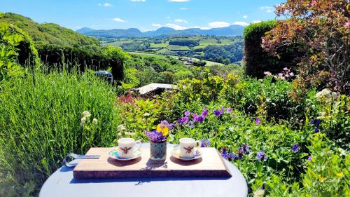 a table with two cups of tea in a garden at Ty Farm Retreat - Farmhouse Studio - Mountain View in Eglwys-Fâch