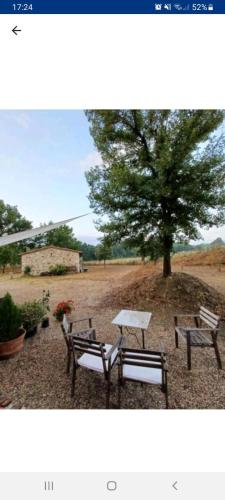 a picnic table and two benches under a tree at Molino della Tuoma in San Quirico dʼOrcia