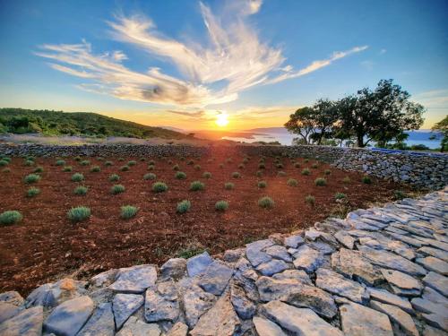 a sunset over a field with rocks and a tree at Villa Humac Hvar in Poljica