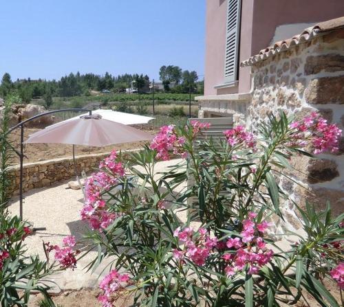 - un patio avec des fleurs roses et un parasol dans l'établissement Mas Héritage, 1455 route de Balbiac, à Rosières