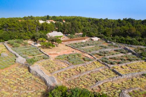 Foto Villa Humac Hvar 1