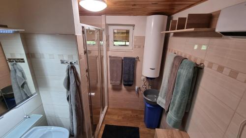 a small bathroom with a shower and a toilet at Chata Modesta in Děčín