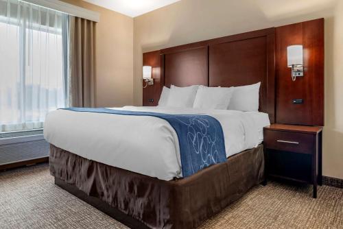 um quarto de hotel com uma cama grande e uma janela em Comfort Suites Pell City I-20 exit 158 em Pell City