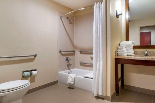 Kylpyhuone majoituspaikassa Comfort Suites Pell City I-20 exit 158