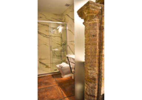 a bathroom with a toilet and a glass shower at Patio San Andrés in Córdoba