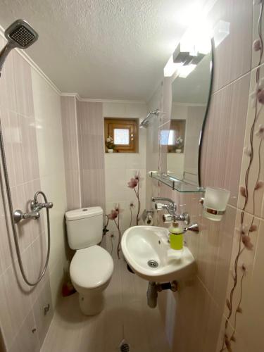 a bathroom with a toilet and a sink and a mirror at Guest House Detelina in Devin