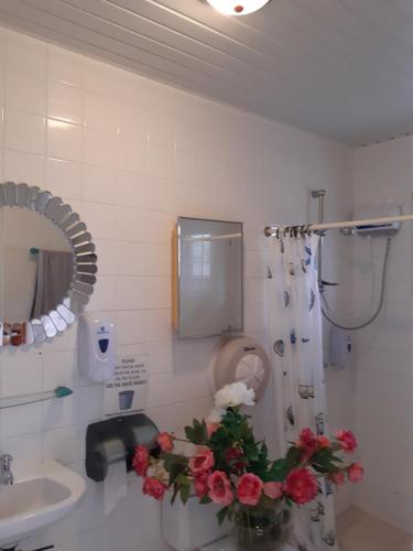 オラニエスタッドにあるHarmony Boutique Hotel & Apartmentsのバスルーム(洗面台、トイレ、花付)