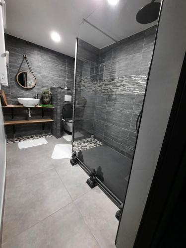 une salle de bain avec une douche, des toilettes et un lavabo dans l'établissement Maison avec jacuzzi, à Saint-Mitre-les-Remparts