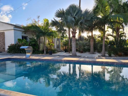 Fotografie z fotogalerie ubytování Tropical Paradise Villa in Torrevieja v destinaci Torrevieja