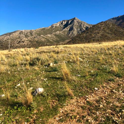 a field of grass with a mountain in the background at A casa di Alice in Orikum