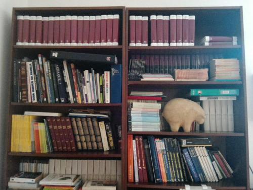 a book shelf full of books with a white animal in the middle at Guest House VC17 in Sintra