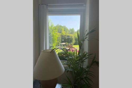 a lamp and a plant in a room with a window at Casa Al Bottalino in Biella