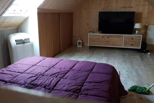 um quarto com uma cama roxa e uma televisão em Joli Studio confort indépendant coeur de Sologne em Lamotte-Beuvron