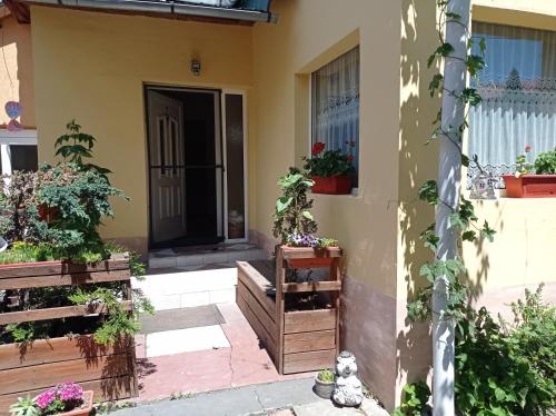 a front door of a house with potted plants at BORINA VENDÉGHÁZ in Sátoraljaújhely