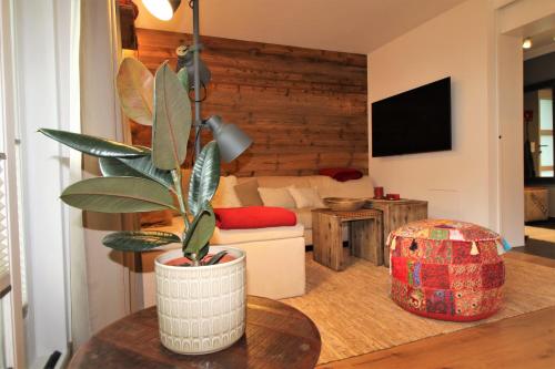 a living room with a plant in a vase on a table at Apartment Franz-Walde-Weg by Apartment Managers in Kitzbühel