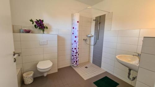 a bathroom with a shower and a toilet and a sink at 12 Mohnblume in Parchtitz