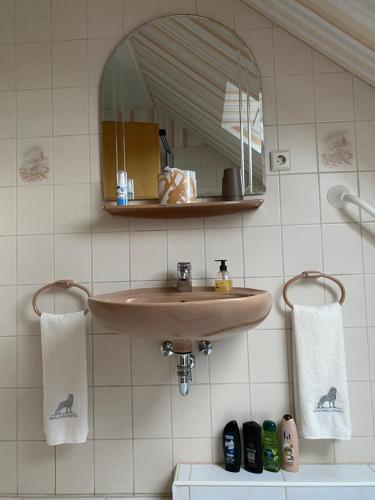 a bathroom with a sink and a mirror at Ferienwohnung Paulina in Braunschweig