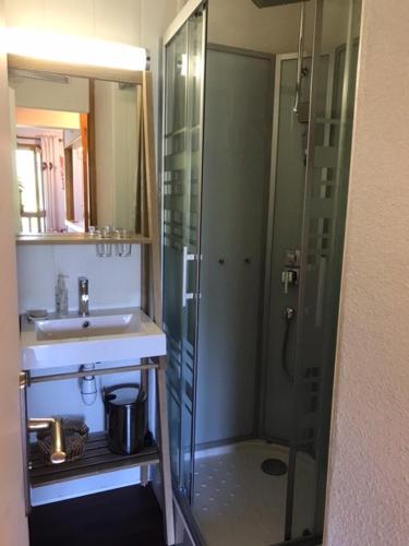 une salle de bain avec une douche en verre et un lavabo dans l'établissement Montchavin Les Côtes vue Mont-Blanc, à La Plagne Tarentaise
