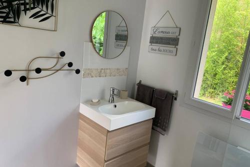 ein Bad mit einem Waschbecken und einem Spiegel in der Unterkunft Les Genêts in Fontaine-sous-Jouy