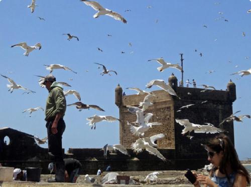 Foto sihtkohas Essaouira asuva majutusasutuse Unique Architect's House galeriist
