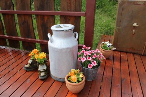 Jardin de l'établissement Stunning Cabin with Breathtaking Views!
