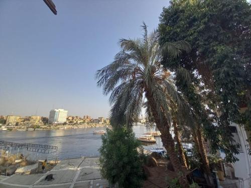 two palm trees next to a river with buildings at Jamaica Guest House in Aswan