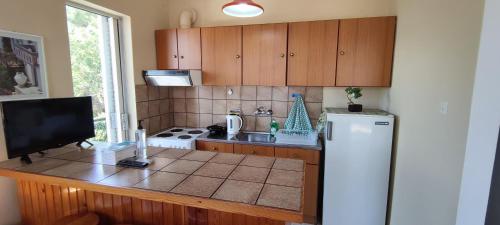 Η κουζίνα ή μικρή κουζίνα στο Anna Studios and Apartments