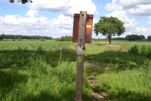 a wooden sign in the middle of a field at Vossenbelt in Gasselte