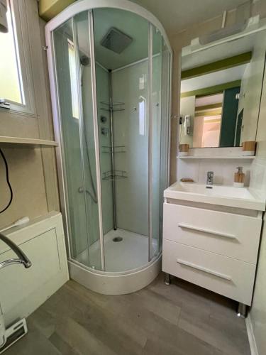 a bathroom with a glass shower and a sink at Avignon, joli chalet en campagne très proche de la ville in Avignon