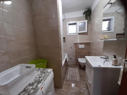ein kleines Badezimmer mit Waschbecken und Toilette in der Unterkunft HOUSE-APARTMENTS ELA -MIRCA- FAMILY HOLIDAY in Mirce