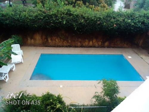 a blue swimming pool with two chairs and a hedge at Villa mango in Somone