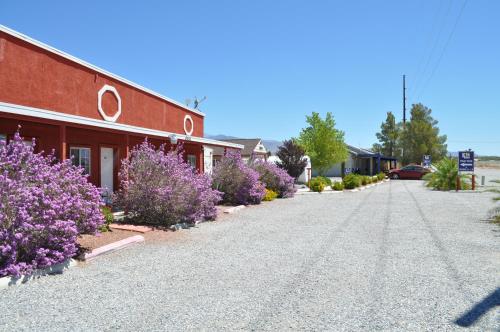 a street with purple flowers in front of a building at K7 Bed and Breakfast in Pahrump