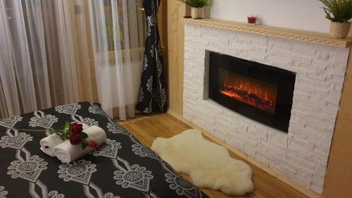 a living room with a fireplace and a couch at Villa Fortuna - Regionalne apartamenty & SPA - Sauna, Grill, Jacuzzi z widokiem na Tatry in Zakopane