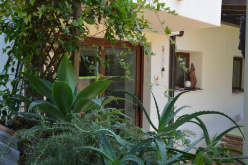 Ein Garten an der Unterkunft Monolocale Samira