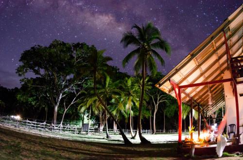 a starry night with palm trees and a building at El Hongo Finca Hostal / Camping in Capurganá