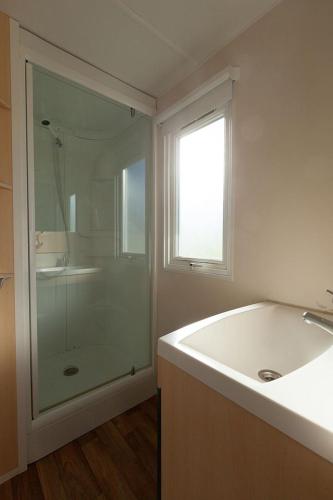 une salle de bain avec une douche en verre et un lavabo dans l'établissement Domaine du Bel Air, à Bar-sur-Seine