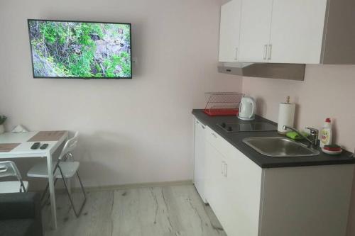 eine kleine Küche mit einem Waschbecken und einem Fenster in der Unterkunft T&J Appartments Ferry Terminal in Klaipėda