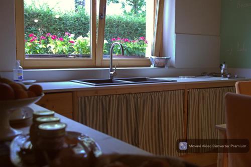 una cocina con fregadero y una ventana con flores rosas en Casa Acquariana, en Belluno