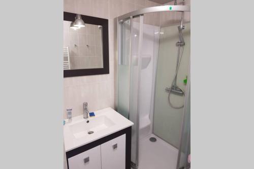 a bathroom with a shower and a sink and a toilet at Dépendance privative avec jardin à 22 mn de Paris in Savigny-sur-Orge