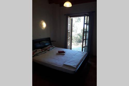 Postel nebo postele na pokoji v ubytování Villa Yucca Palm