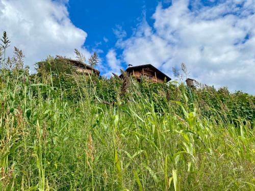 Gallery image of Maso Fallmerayer - Fallmerayerhof in Bressanone