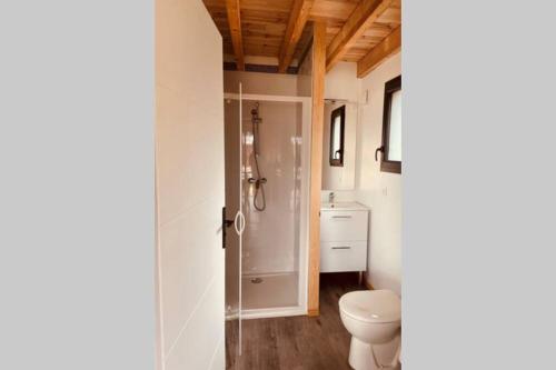 CHALET MONTANA - AU COTTAGE DU MEDOC - Proche de BORDEAUX في Saint-Aubin-de-Médoc: حمام مع مرحاض ودش